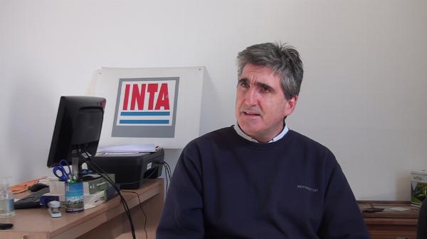 El INTA anunció jornada nacional sobre malezas