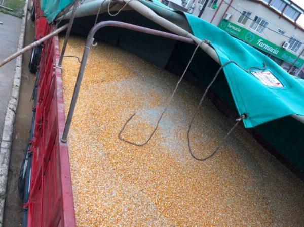 San Pedro: la AFIP subasta 4.000 toneladas de maíz incautadas en un operativo