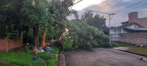 Pergamino tormenta