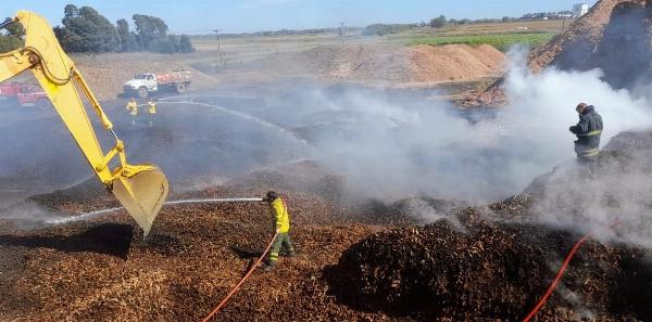 bomberos marlo