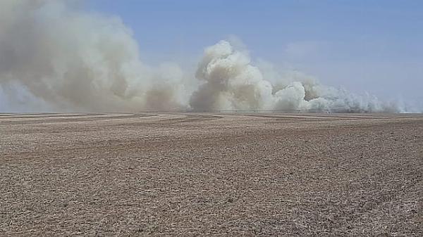  incendio de campo