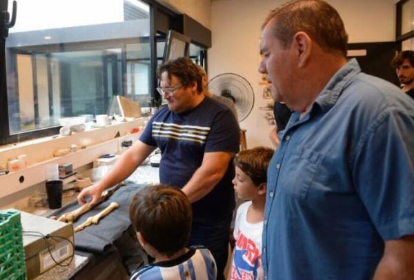 Mar del Plata: hallan los fósiles de un camélido gigante de 3 millones de años de antigüedad