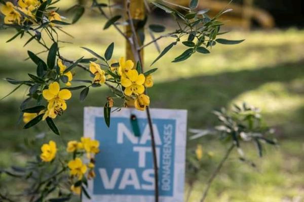 El vivero de plantas nativas reparte ejemplares en diferentes distritos de la provincia.