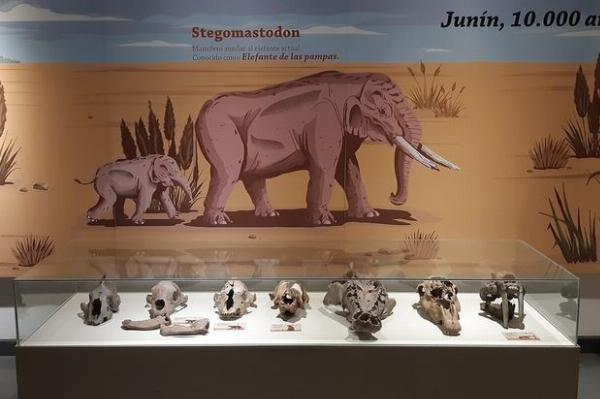  Museo Municipal Paleontológico “Legado del Salado” queda en el Parque Natural Laguna de Gómez.