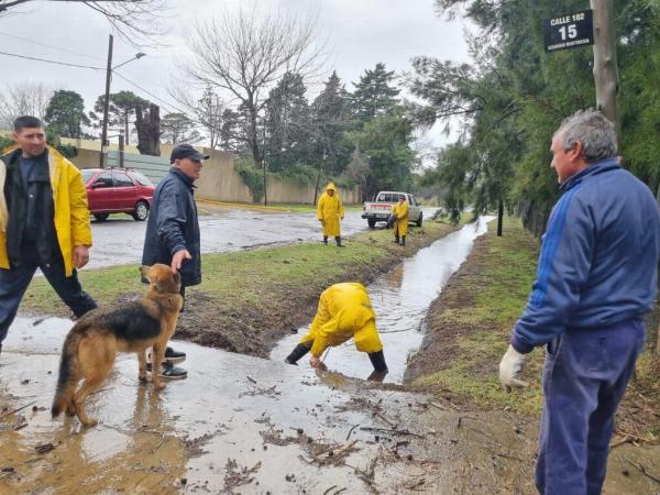  El operativo de desobstrucción municipal. (Prensa Municipalidad de La Plata) 