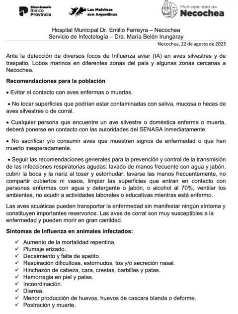 referente