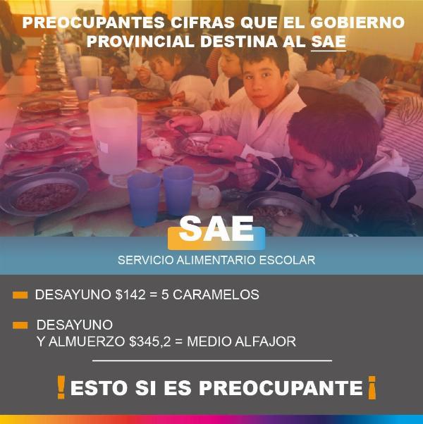 Concejales JxC Rojas cuestionan las partidas destinadas al SAE por parte del gobierno provincial