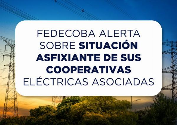 La Clyfer informó sobre la «desesperante» situación económica de las distribuidoras eléctricas y el riesgo en la prestación del servicio