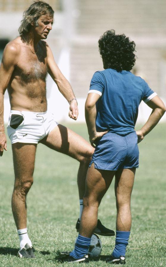  referente