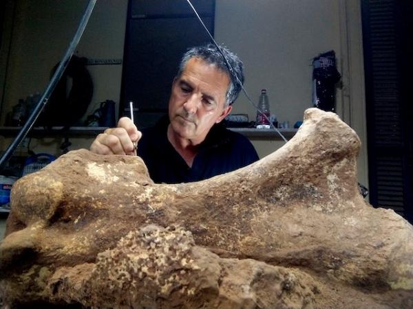 Museo Paleontológico de San Pedro
