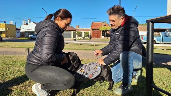Nuevas jornadas gratuitas de vacunación antirrábica de mascotas