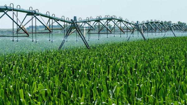Conflicto por fitosanitarios: La Provincia postergó por 120 días la vigencia de la resolución de agroquímicos