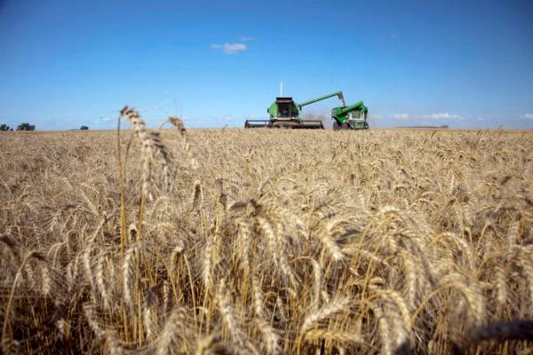 Campo: El Gobierno oficializó el cronograma de reducción de retenciones para granos y biocombustibles