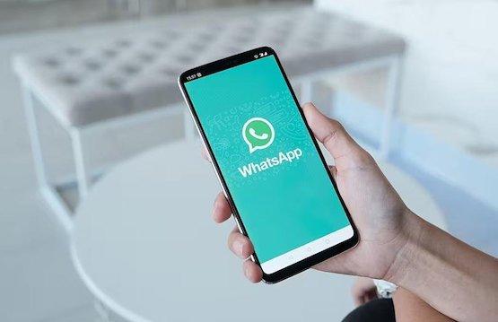 La Libertad Avanza Rojas lanzó "Libi", un asistente de WhatsApp para recibir reclamos vecinales